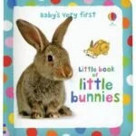 babys-very-first-little-book-of-bunnies