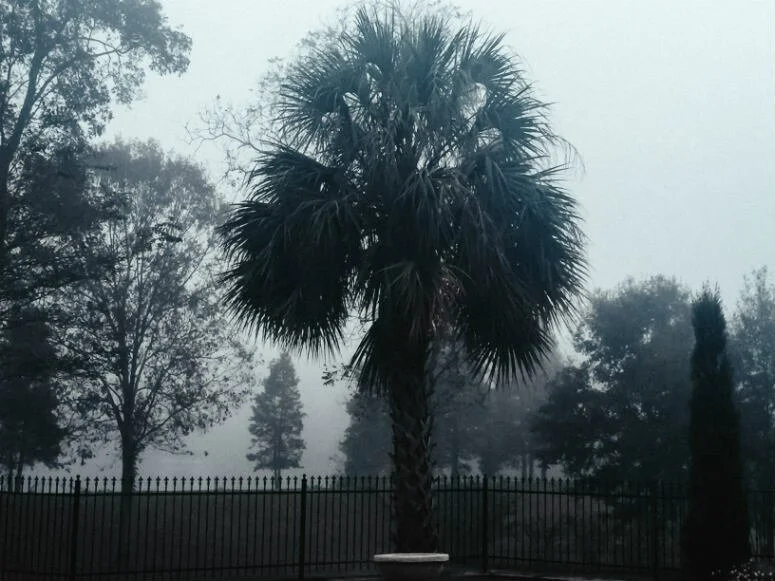 Погода в штате Луизиана. Ливневые дожди | Блог про жизнь в штатах American liFE