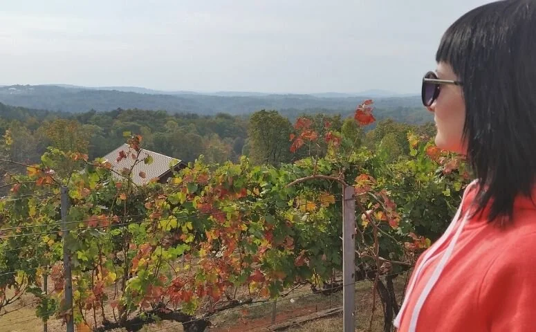 Осень в Джорджии. Wolf Mountain Vineyard. Винодельни в штате Джорджия | Блог о США American liFE