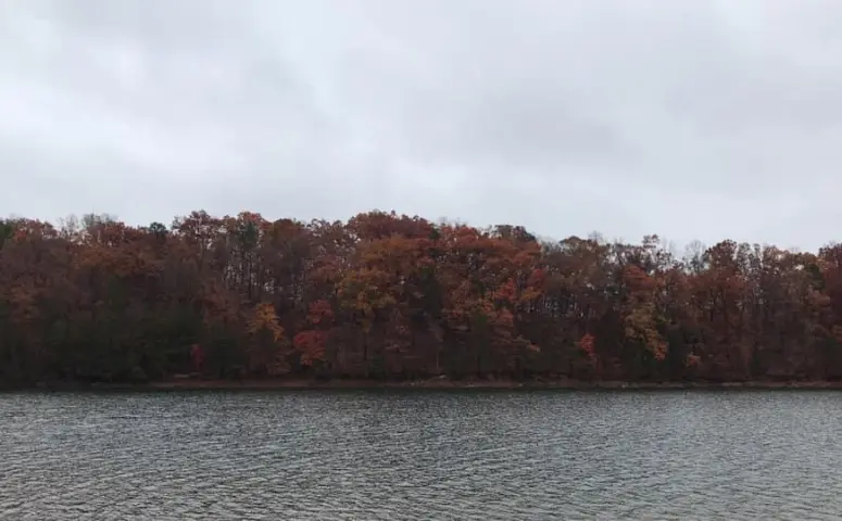 Озеро Lanier в штате Джорджия | Блог о США American liFE